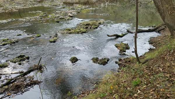 Movie: Rapids, 13:28:22, (21M), Upstream of US 84