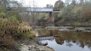 RR bridge, 12:41:23,, Below the downstream bridge 30.7900038, -83.4585197