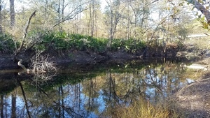 Upstream, River bank