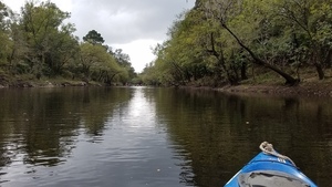 Paddlers ahead, 11:51:44,, Clyatt Mill Creek 30.6526587, -83.3613652