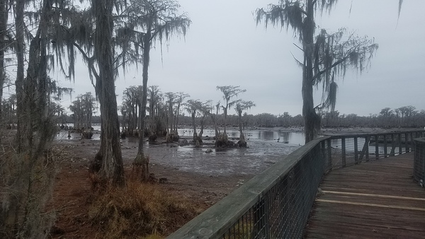 Water could be higher, Boardwalk