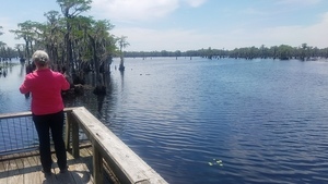 Plenty to paddle on, Boardwalk