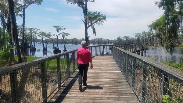 Lake has some water, Boardwalk