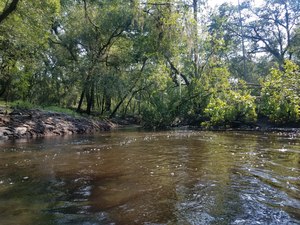 Deadfall ready to block entire river, Oxbow cutoff