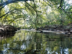 Wider, Oxbow cutoff