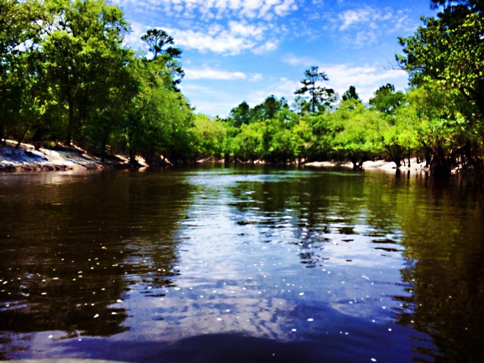 WWALS August Outing Alapaha River Hotchkiss Crossing Lanier Side to