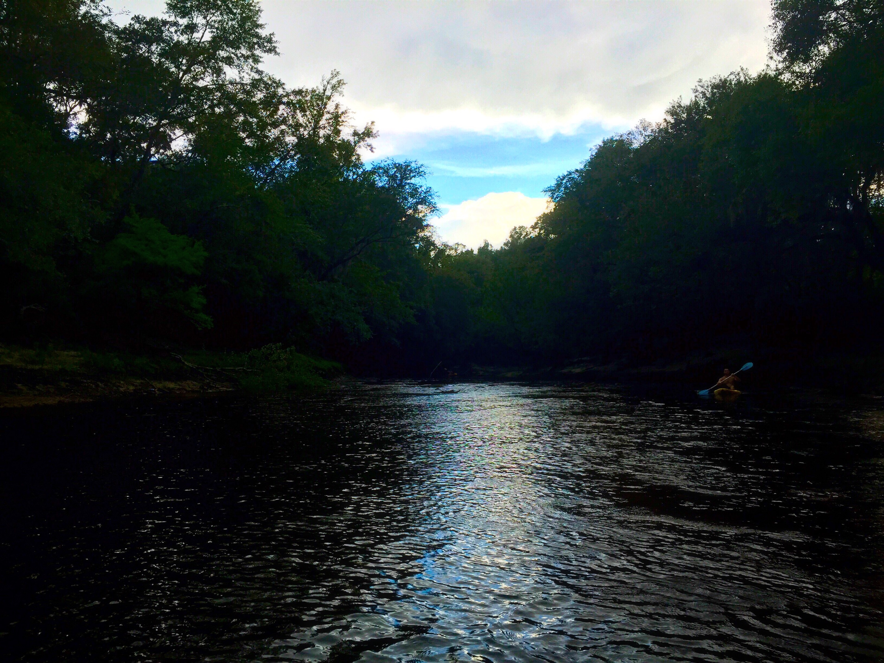 Mayday to Statenville paddle trip on the Alapaha river. | WWALS ...