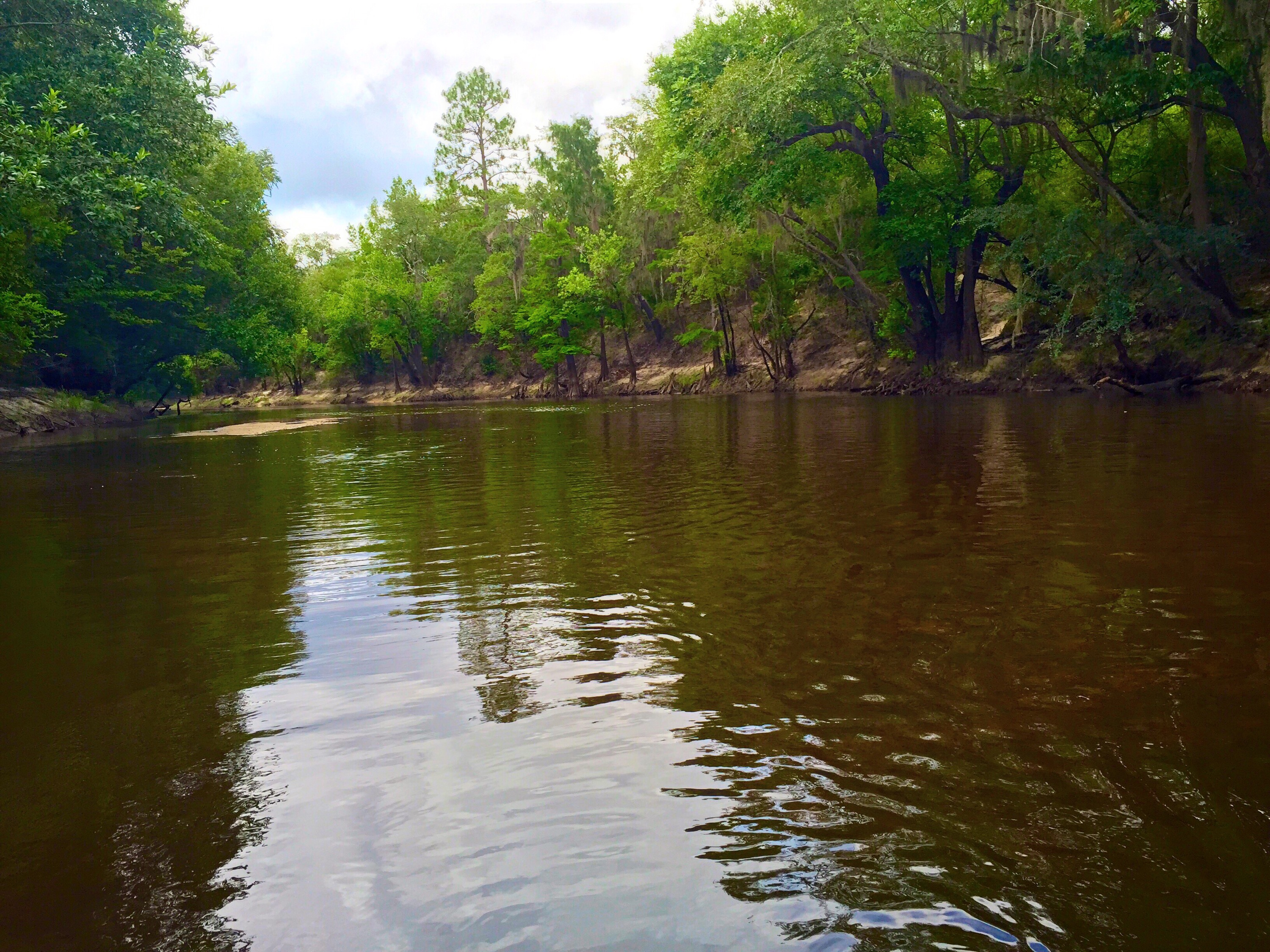 Mayday to Statenville paddle trip on the Alapaha river. | WWALS ...