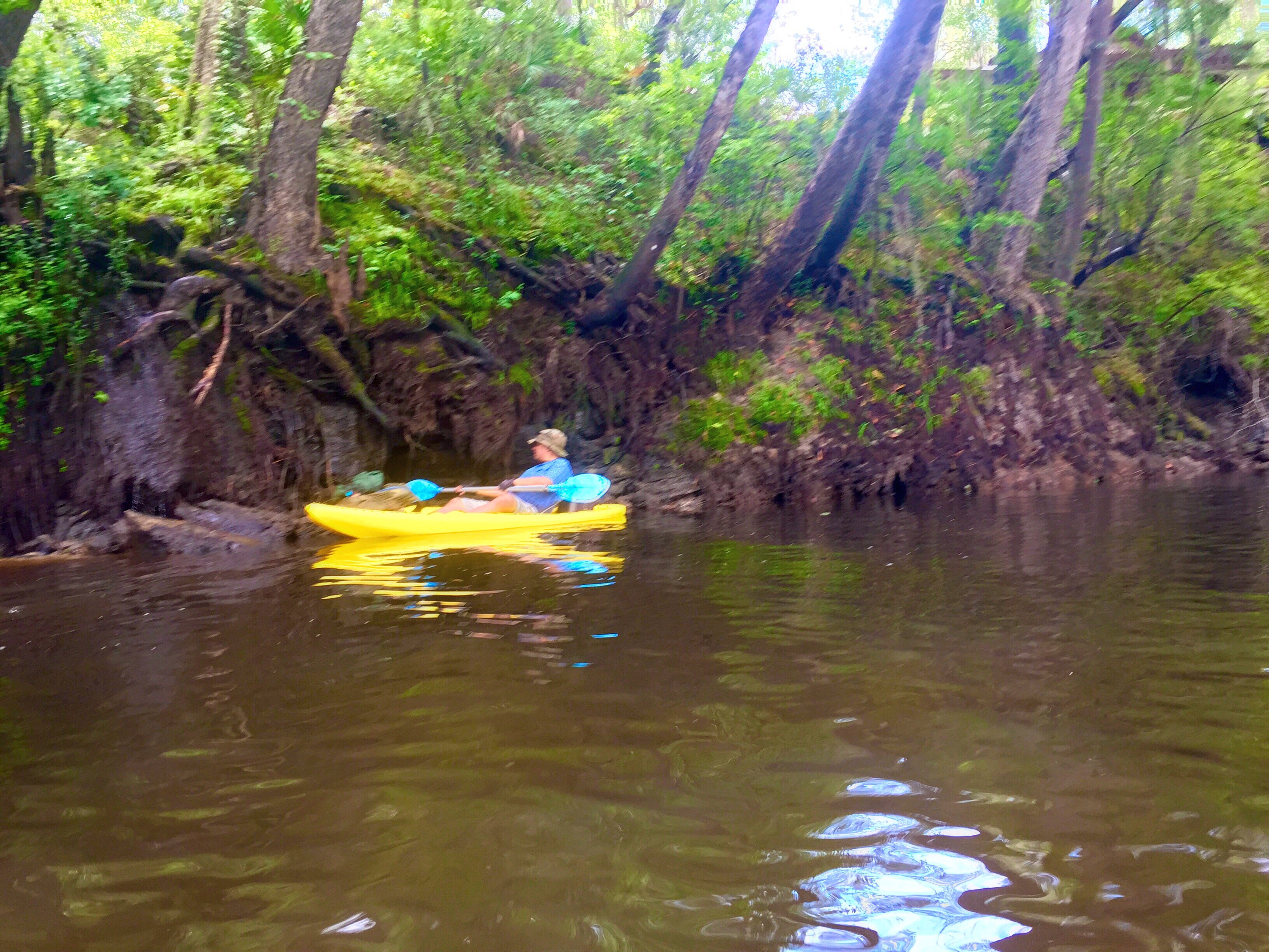 Mayday to Statenville paddle trip on the Alapaha river. | WWALS ...