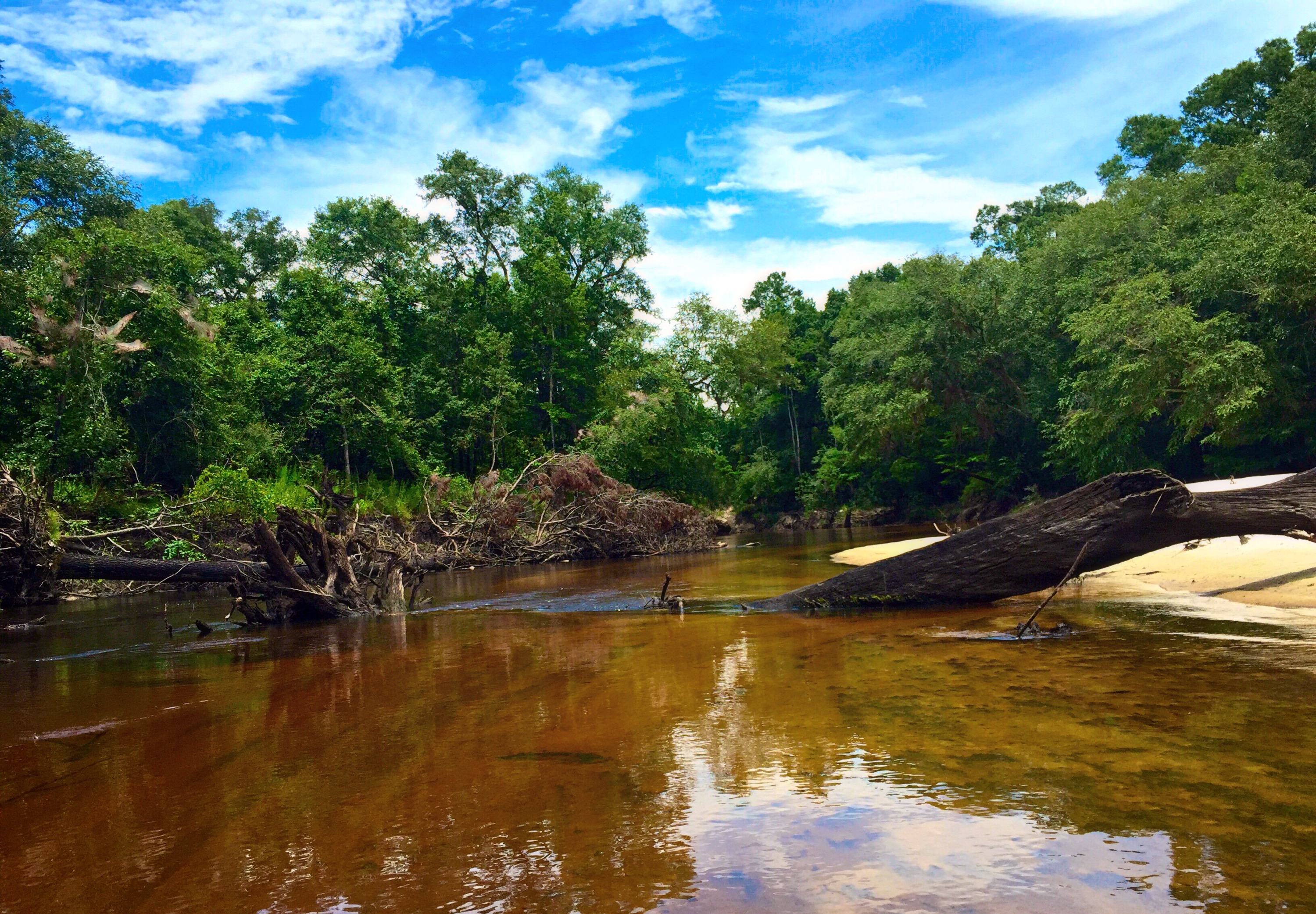 Mayday to Statenville paddle trip on the Alapaha river. | WWALS ...