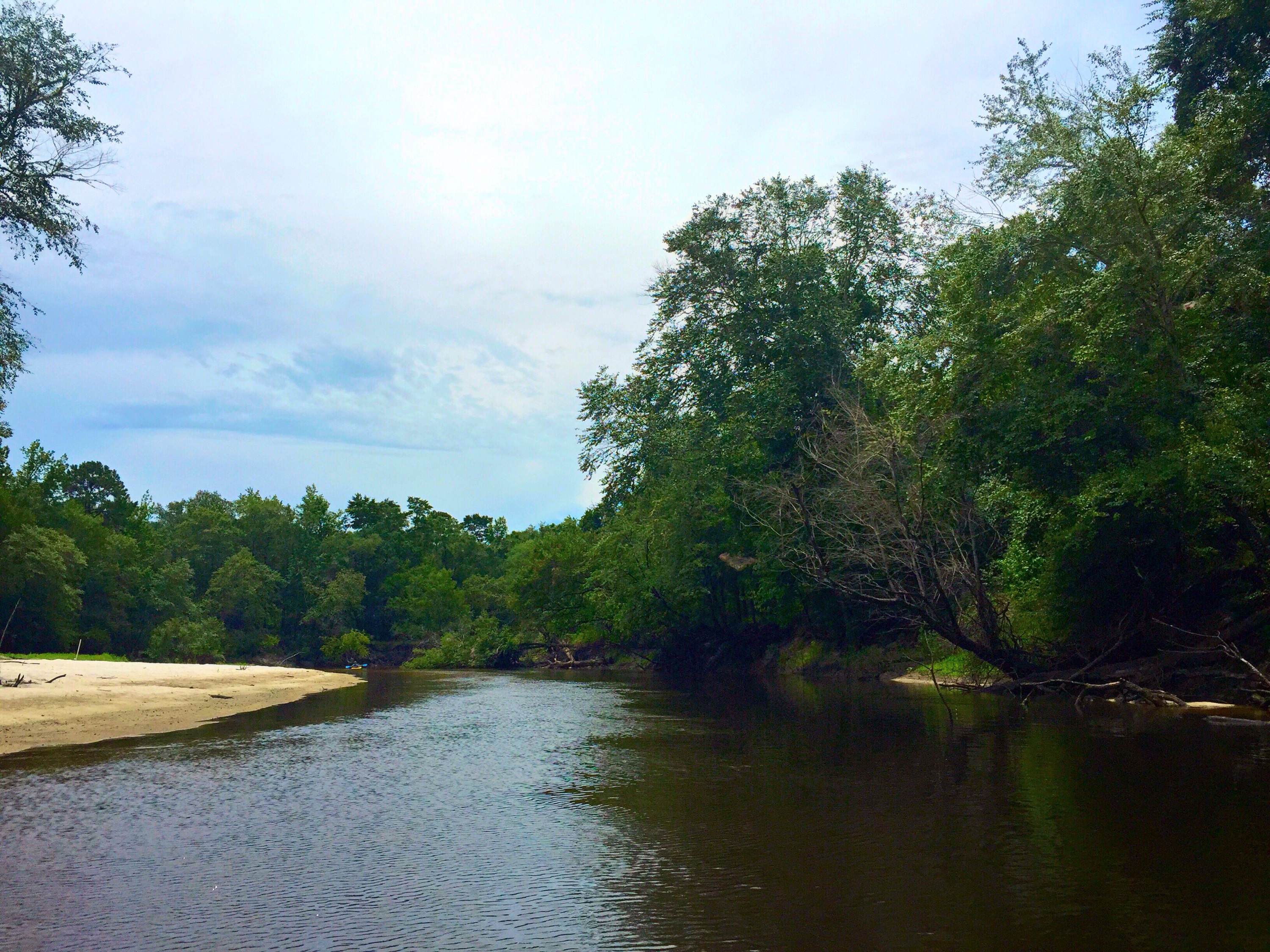 Mayday to Statenville paddle trip on the Alapaha river. | WWALS ...