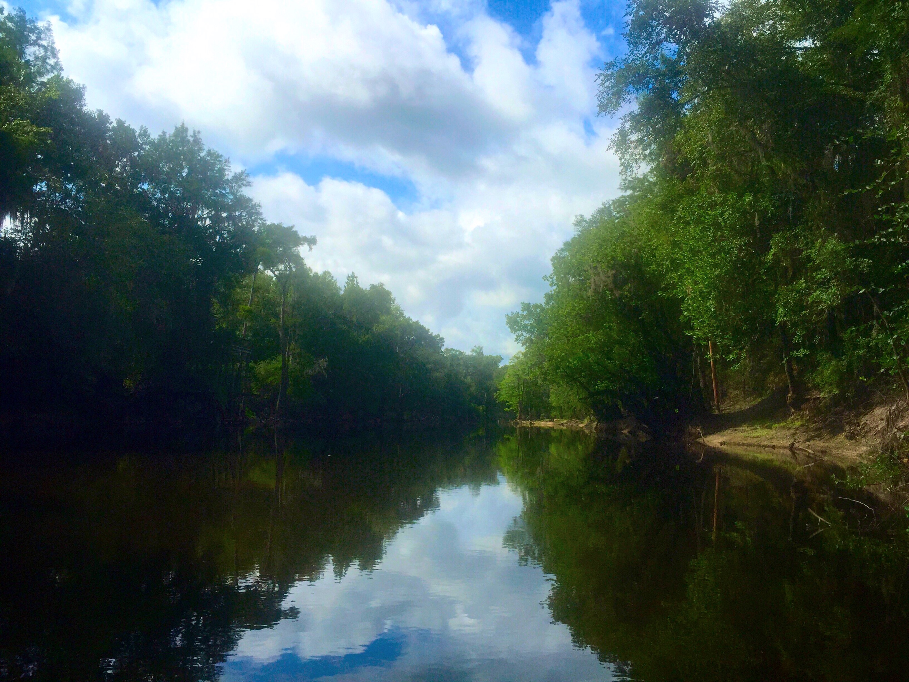 Mayday to Statenville paddle trip on the Alapaha river. | WWALS ...