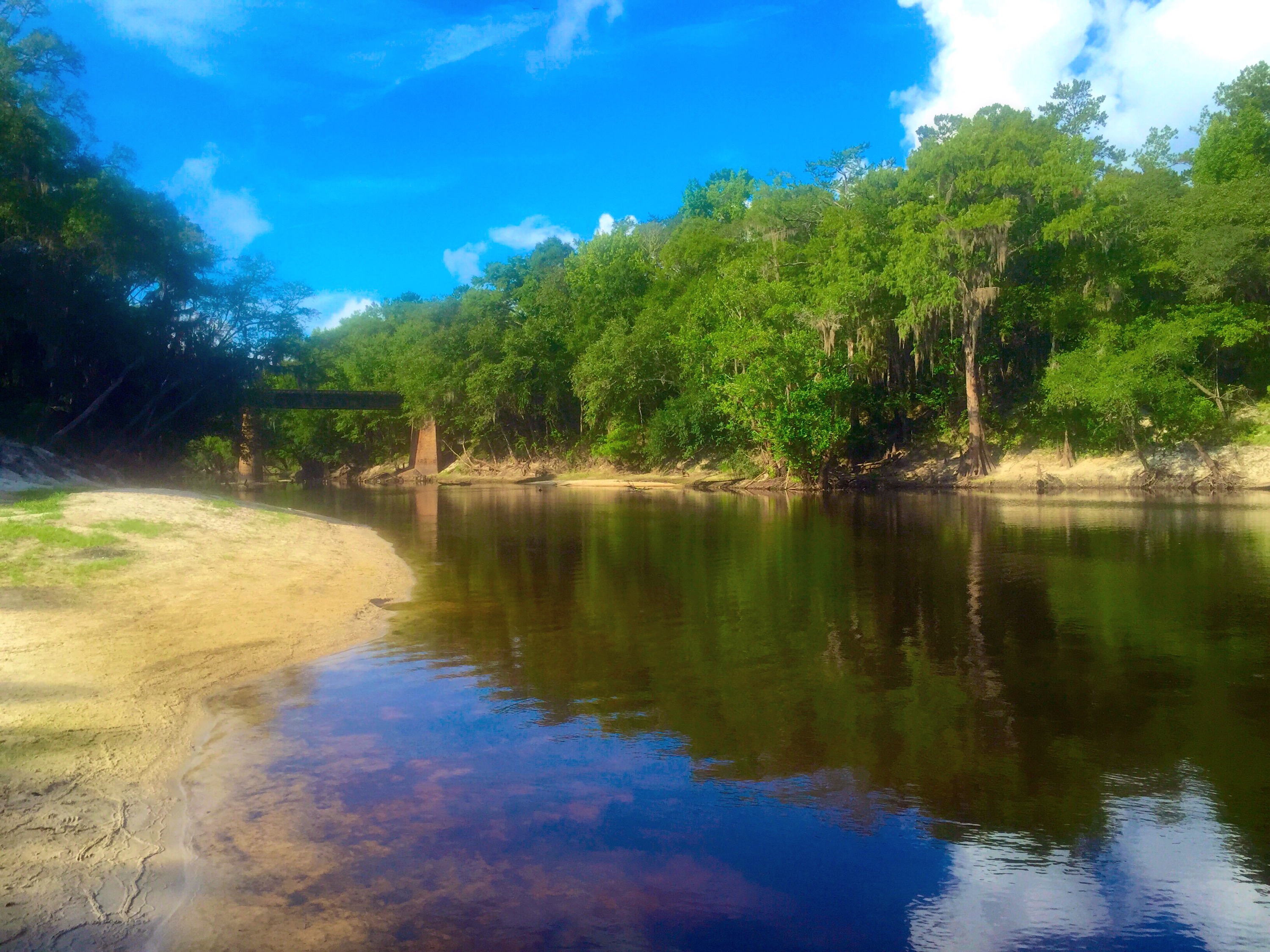 Mayday to Statenville paddle trip on the Alapaha river. | WWALS ...