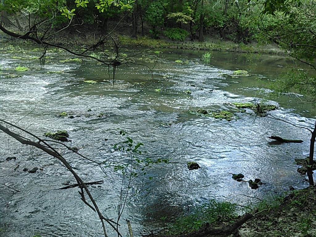 Withlacoochee River at US 84, 20150828 WWALS Watershed Coalition