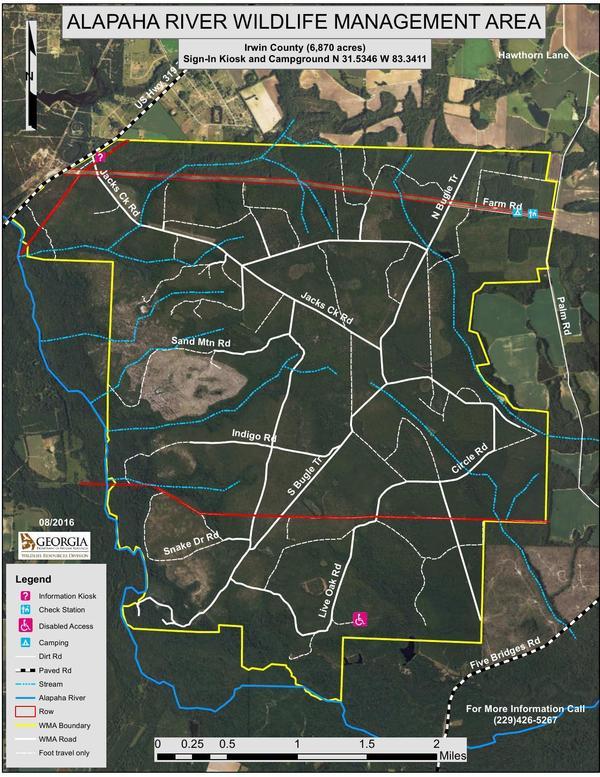 Alapaha River Wildlife Management Area WWALS Watershed Coalition