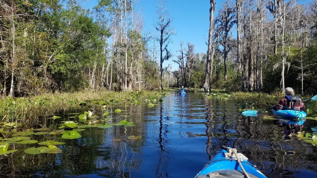 Minnie Lake, Shirley Kokidko, Gretchen Quarterman, 11:42:54,, Minnie Lake